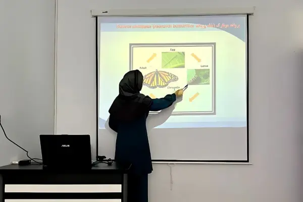 شایستگان ایران ۳